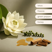 Load image into Gallery viewer, soy candle
GREEN PEPPER &amp; LOTUS
