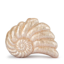 Load image into Gallery viewer, INDI ACRYLIC SHELL CLUTCH
