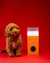 Load image into Gallery viewer, Holiday: Dog Grooming Set
