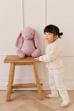 Load image into Gallery viewer, Snuggle Bunnies - Penelope - Periwinkle 45cm
