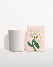Load image into Gallery viewer, Mother&#39;s Day: Citrus Blossom &amp; Magnolia Ceramic Candle
